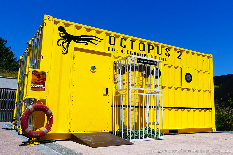 Octopus : ateliers pour enfants au Grand Parc Miribel Jonage