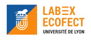 logo LabEx ECOFECT