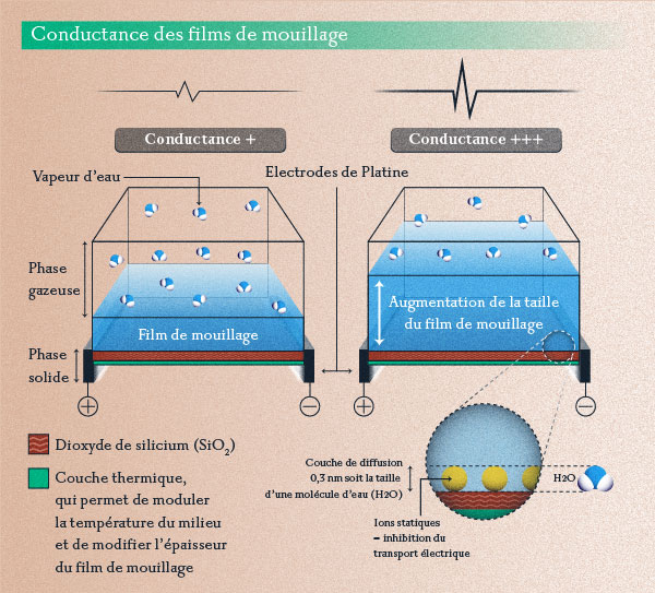 Conductance des films de mouillage