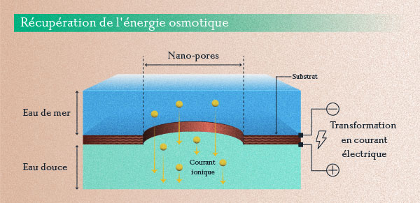 Récupération de l'énergie osmotique