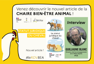 RDV BEA - interview Guillaume Blanc