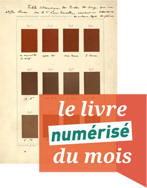 Les taches de sang : leur signification, leur importance en médecine judiciaire