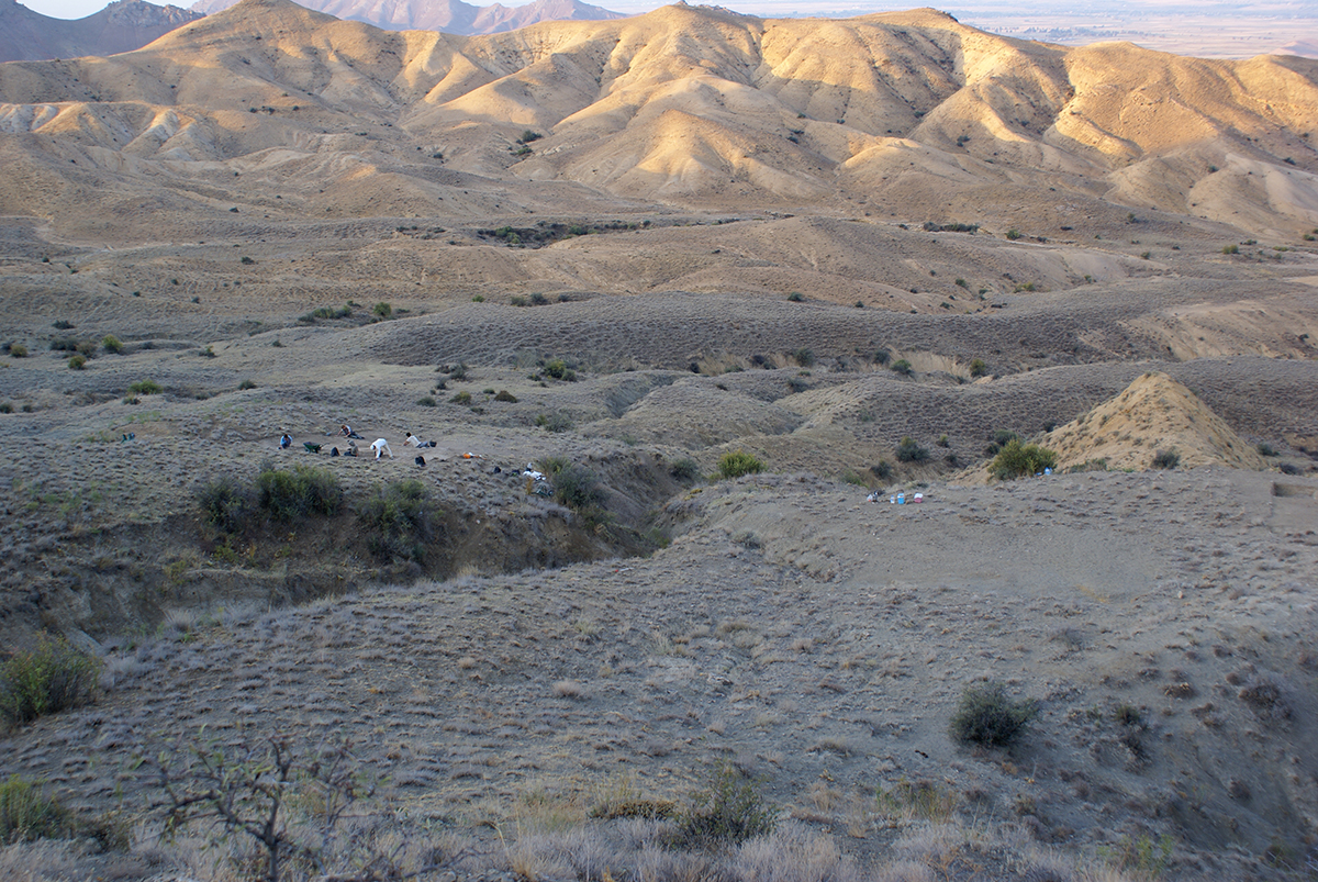 Zirinçlik (Azerbaïdjan): Camp mobile chalcolithique (ca. 4200-3500 av. n.è) © MBA Catherine Marro