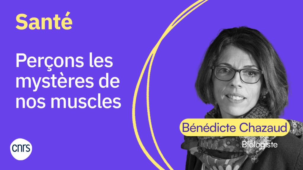 Vignette Qu'est-ce que tu cherches? Bénédicte Chazaud