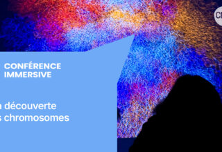 vignette conférence immersive LBC