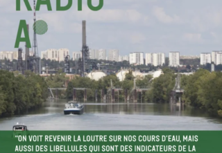 Affiche de l'émission "Vallée de la chimie, quelle place pour les écosystèmes fluviaux ?"