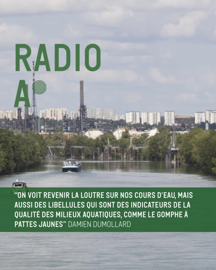 Affiche de l'émission "Vallée de la chimie, quelle place pour les écosystèmes fluviaux ?"