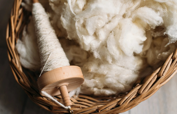 Près de 10 000 tonnes de laine sont produites chaque année en France, dont 95 % ne sont plus valorisées. © Moumoute