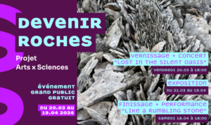 affiche exposition devenir roches