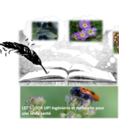 Histoires de presque rien : laisser parler les fragilités