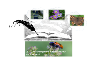 Histoires de presque rien&nbsp;: laisser parler les fragilités