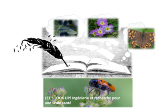 Histoires de presque rien : laisser parler les fragilités