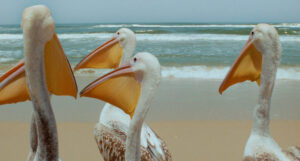 "Le Peuple migrateur" de Jacques Perrin