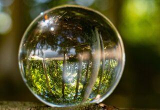 Nature inside a glass bowl with nature outside. Photo to show how to take care of the nature in the future. By bettysphotos - AdobeStock
