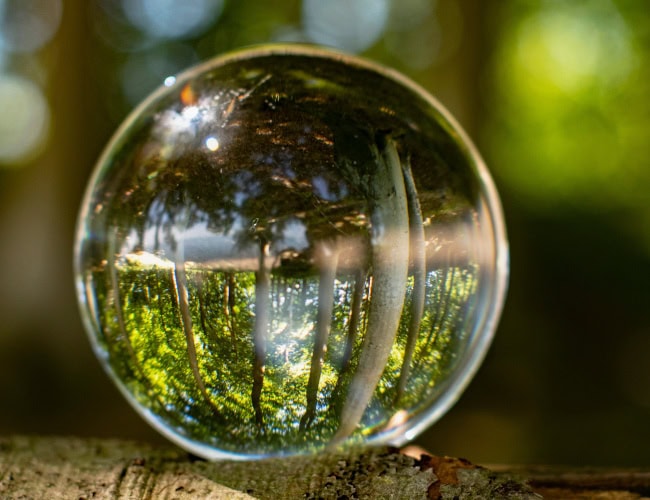 Nature inside a glass bowl with nature outside. Photo to show how to take care of the nature in the future. By bettysphotos - AdobeStock
