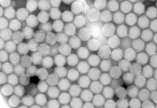 Adénovirus extraits de cellules humaines infectées, vus en microscopie électronique.