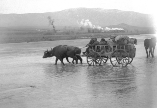 photo en noir et blanc. Un convoi de charriot lourdement chargé, tiré par un bovin, traverse un plan d'eau (de droite à gauche), tandis qu'en arrière plan un train à vapeur s'éloigne en sens opposé. à l'horizon, on distingue une chaine de montagnes.